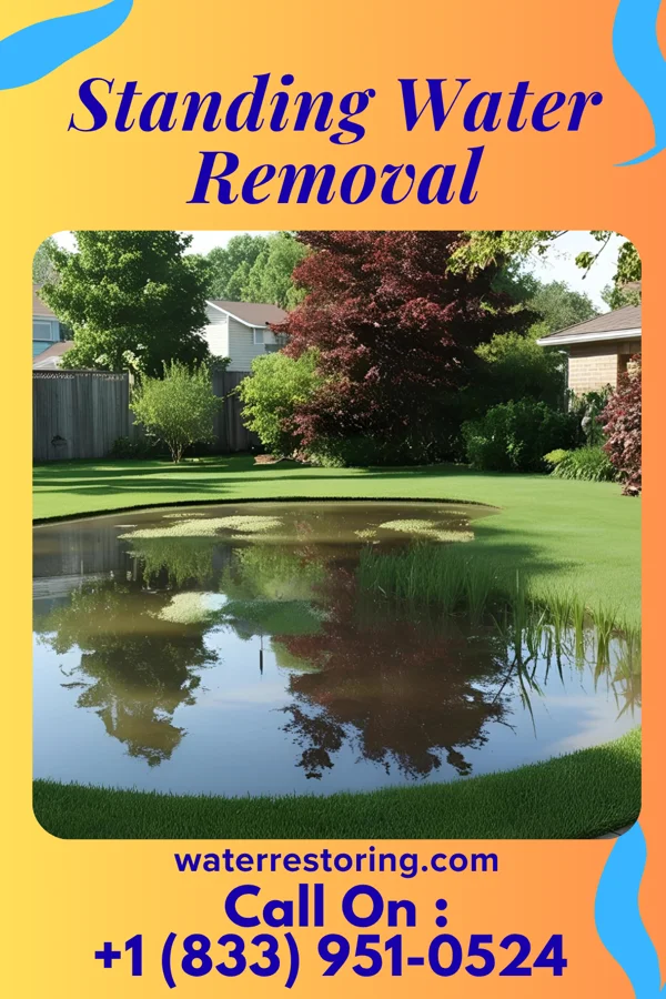 Standing Water Removal in Wood Heights, MO